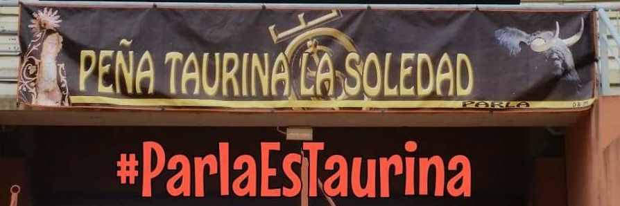 PTSoledad_Parla's profile banner image