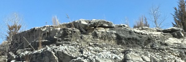 AnimatedToku Profile Banner