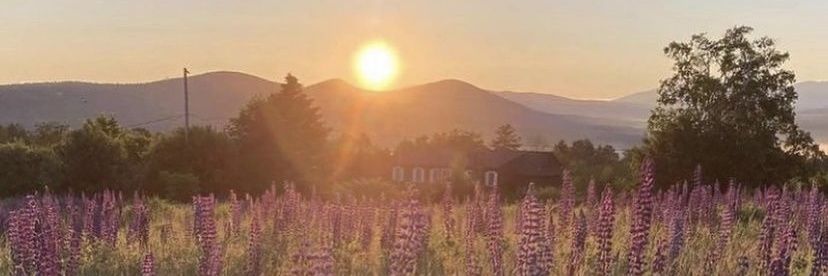 Northern Grafton County Dems banner