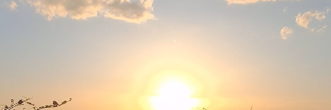 chim0e's profile banner image