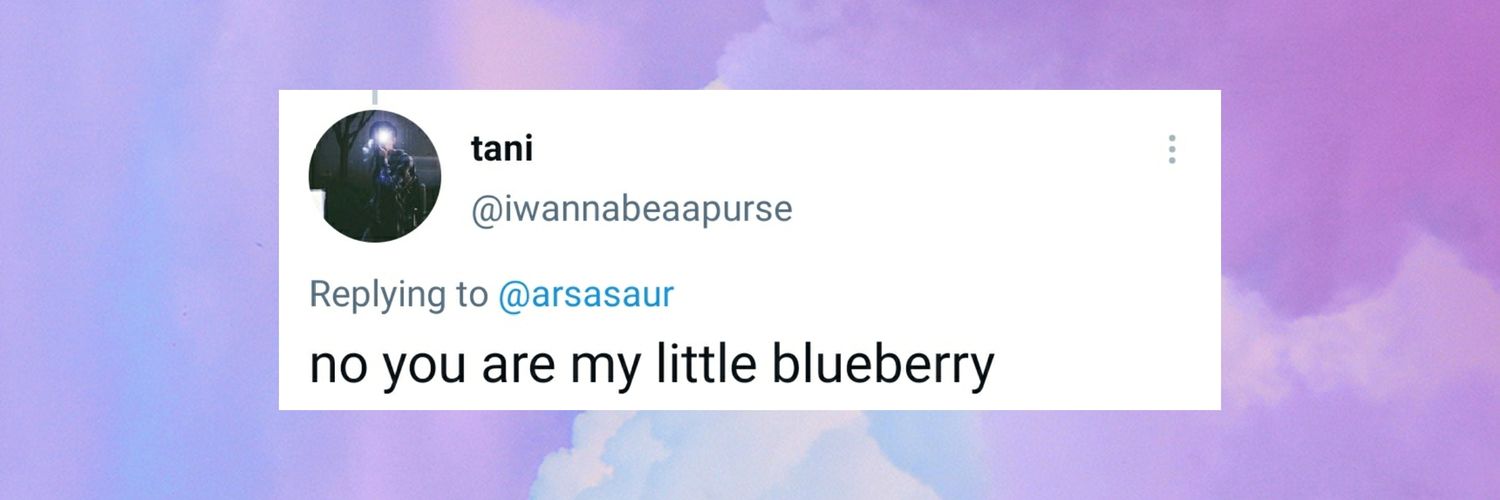 HAPPY BIRTHDAY TANI • jun 🍬 ⊹｡☾°₊･♡༄ banner
