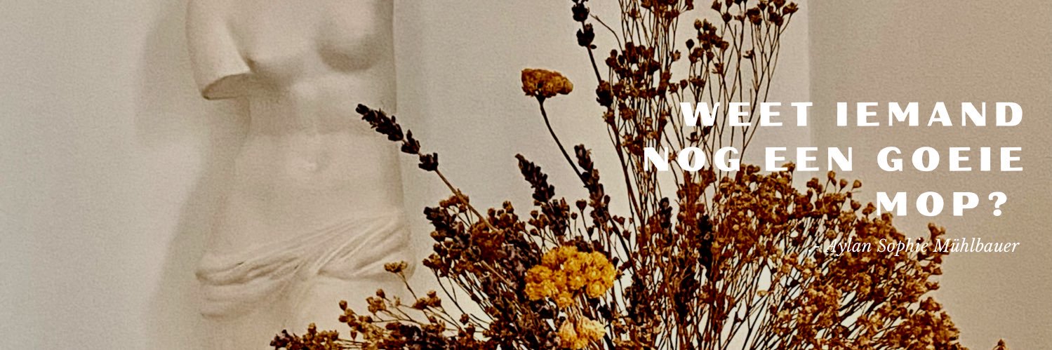 Aylan banner