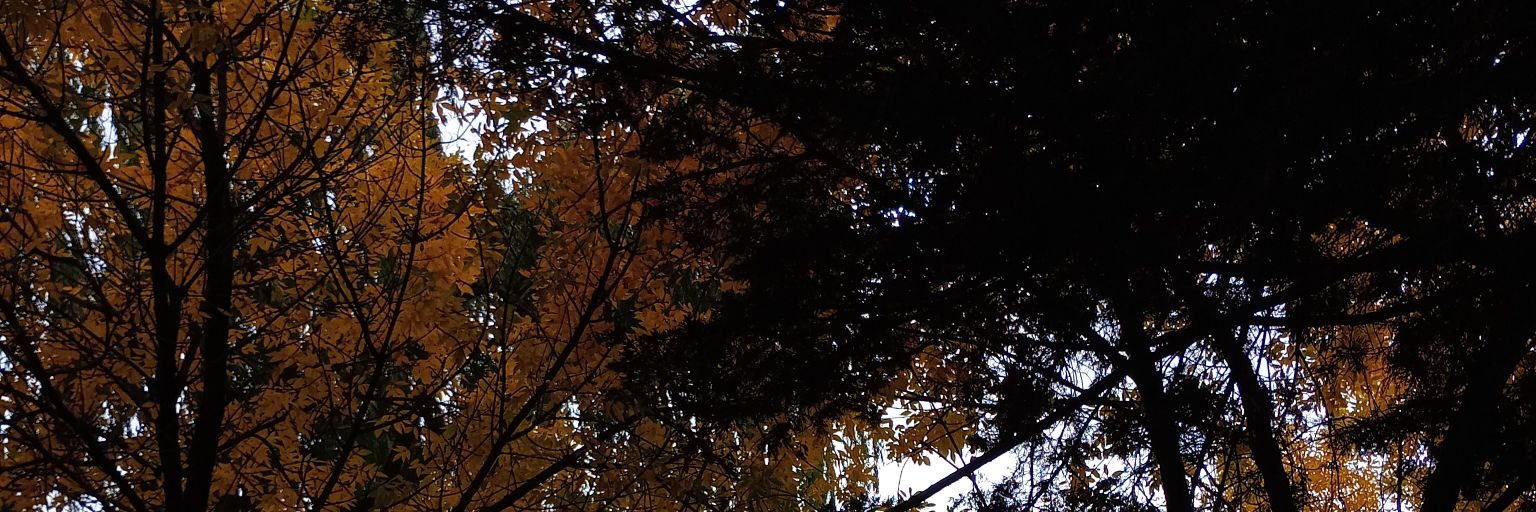 rociooooooooo_a's profile banner image