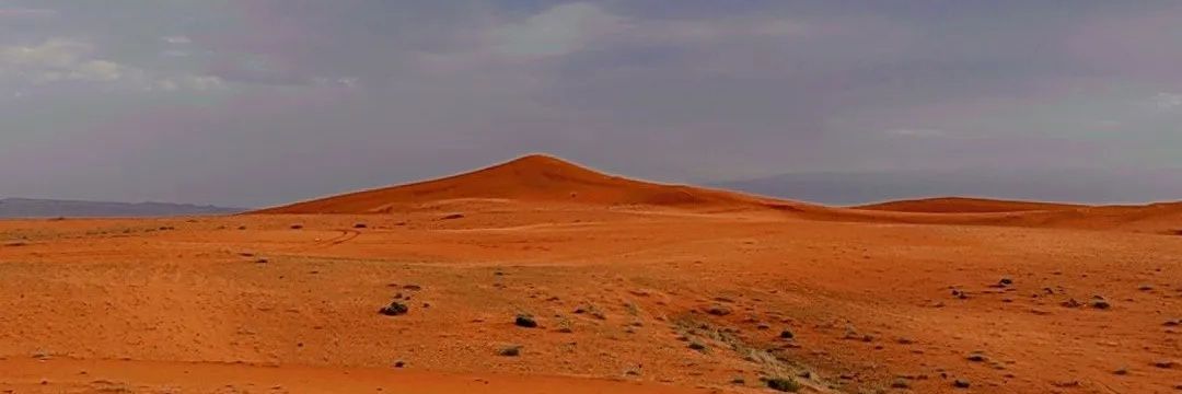 نوره الشيبانـي banner