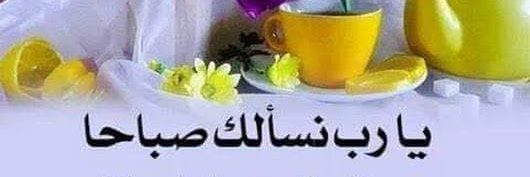 MohammedElbsher's profile banner image