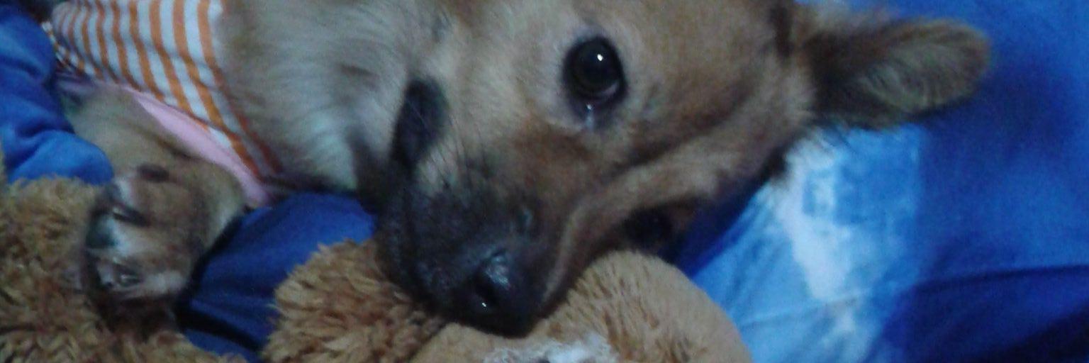 Endaina's profile banner image