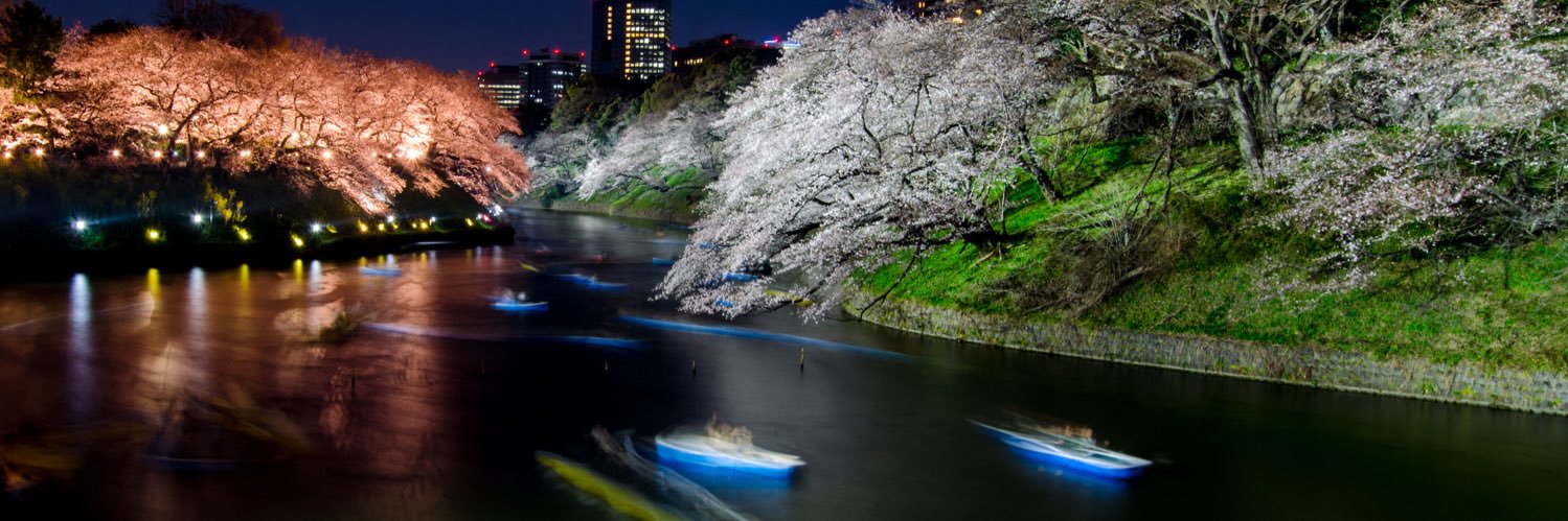 laura_studarus banner