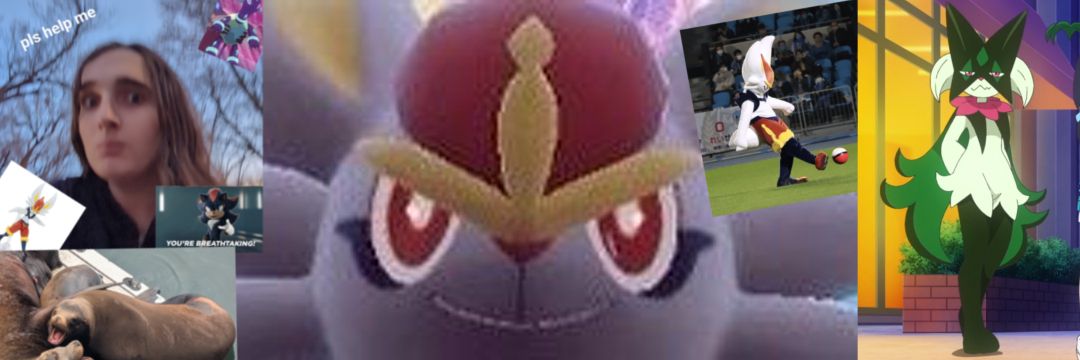 Bun's banner