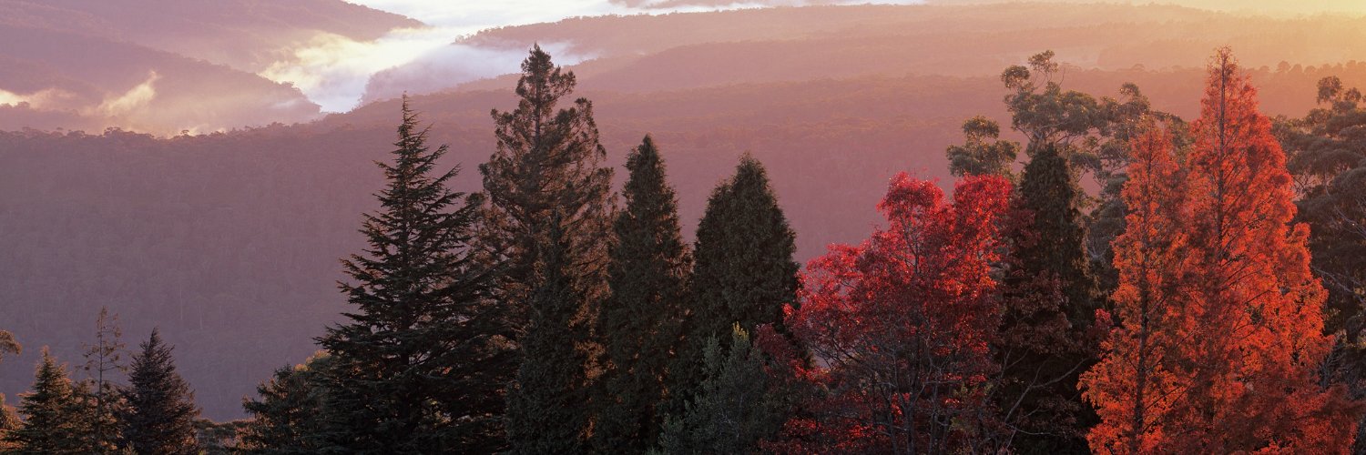Botanic Gardens of Sydney banner