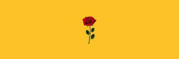 tem_um_encanto's profile banner image