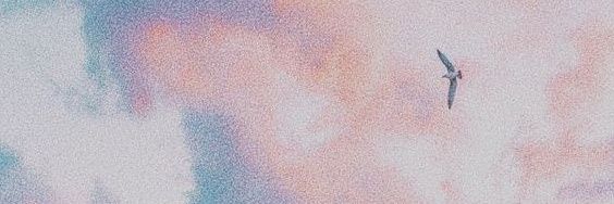 liacamel's profile banner image