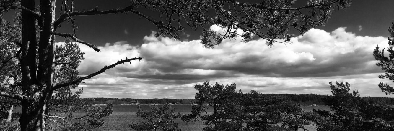 Leena Pihlajamäki banner