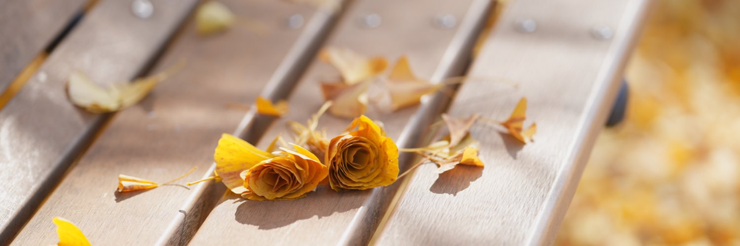 ShouriTwinkle's profile banner image