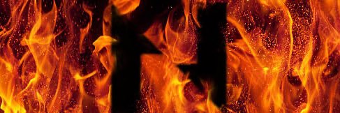 Ghrelin++🦍 banner