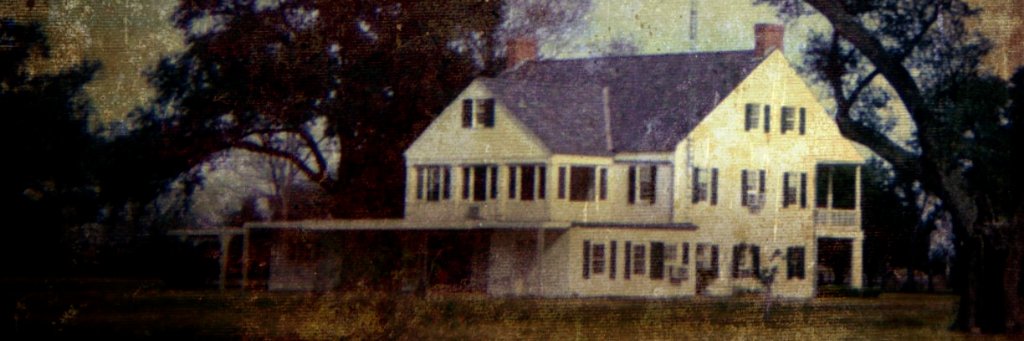 Southern Gothic banner