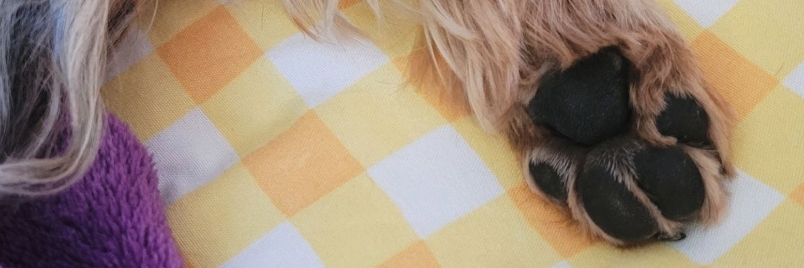 marinavargass_'s profile banner image