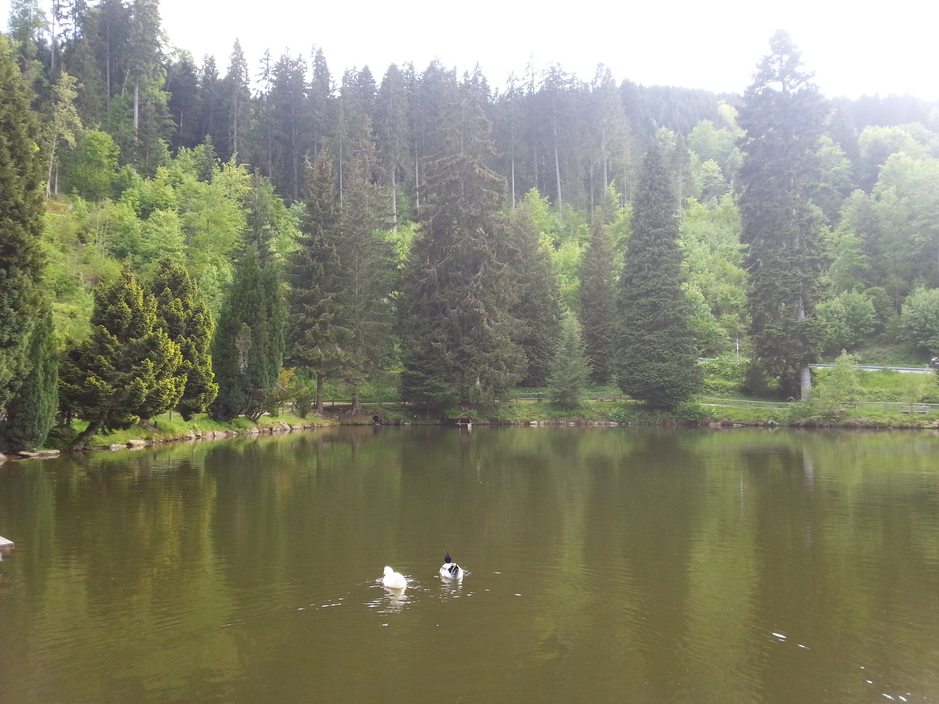 basmaz_esra's profile banner image