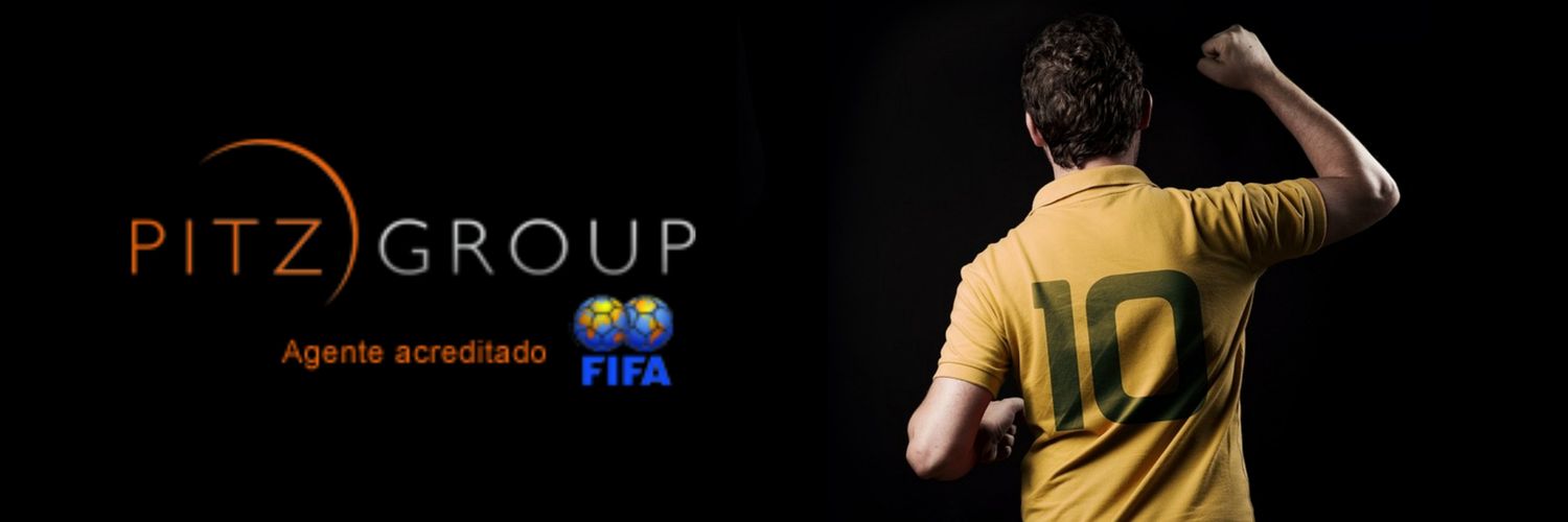 PITZ GROUP banner