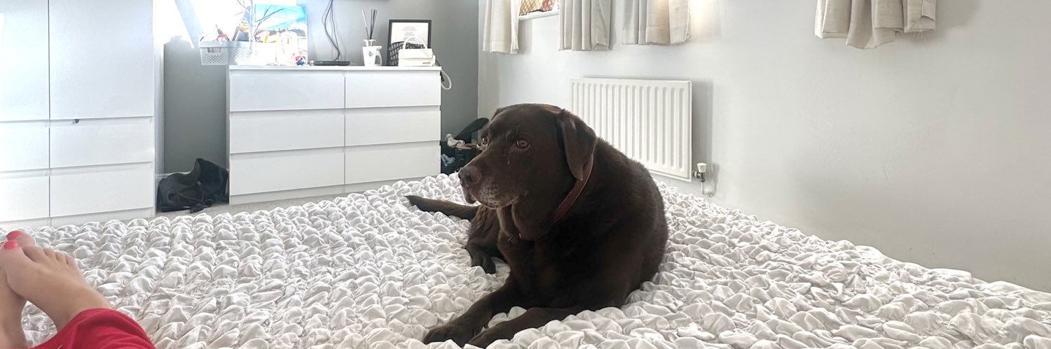 Ellie Gregg banner