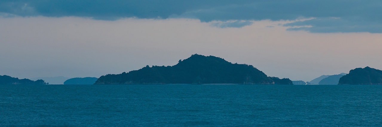 branchcoffee's profile banner image