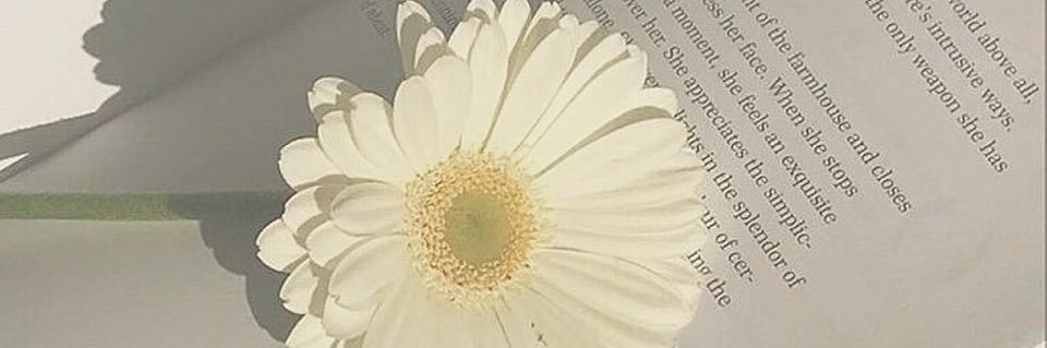 ぴょん banner