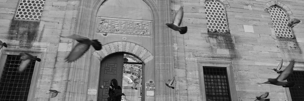 Ana_Elka's profile banner image