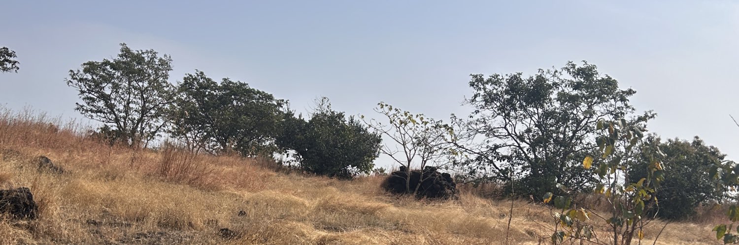 malaninakul's profile banner image