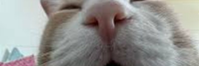 Bloodroke's profile banner image