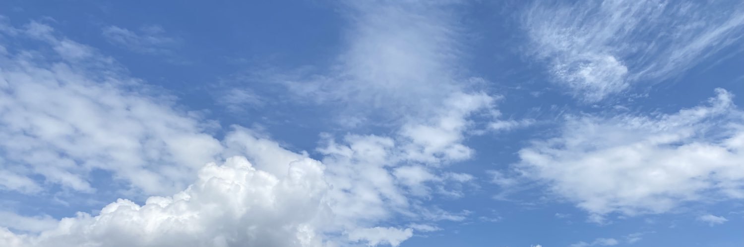 프코 banner