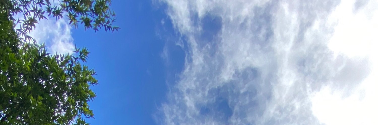 RobinJeansou's profile banner image