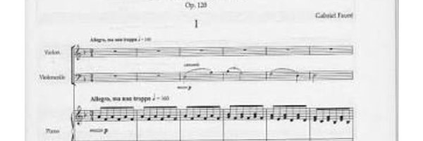 wanderingPHN Profile Banner