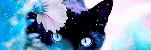 Josdi1's profile banner image