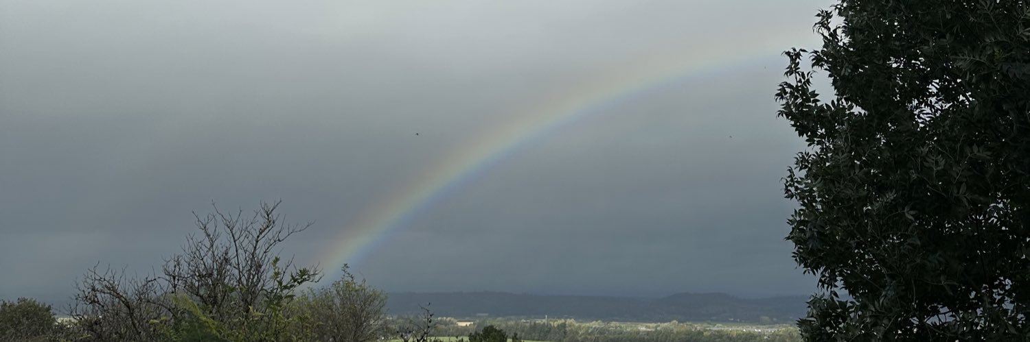 AlbanyCowie's profile banner image