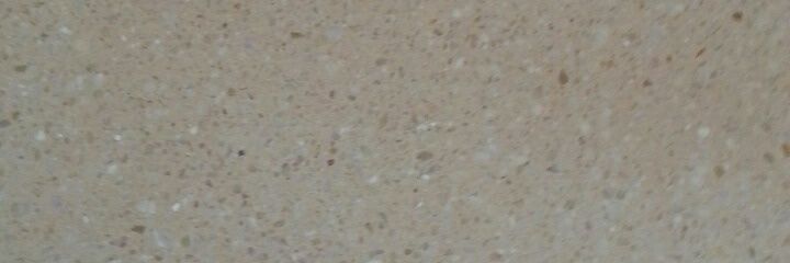 Pedro Jose Sánchez banner