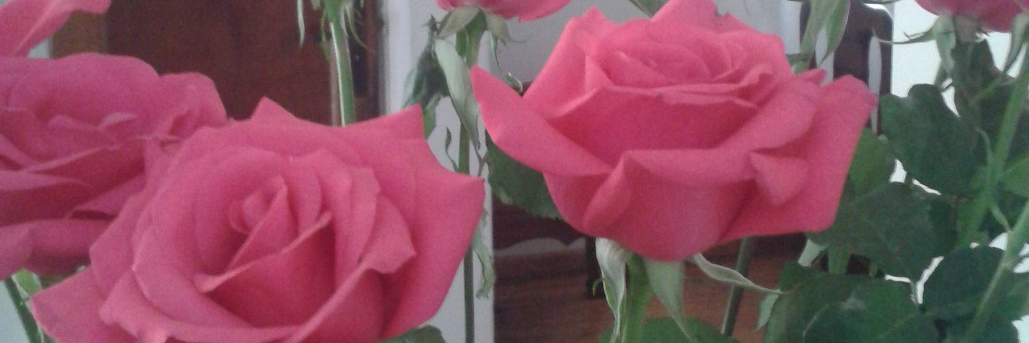 hipodromocondesa banner