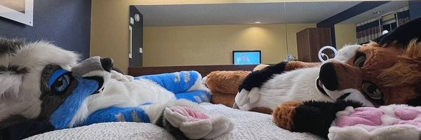 Shadowfox439 Profile Banner