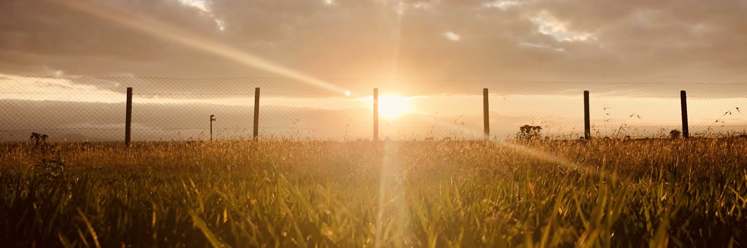 Barare_Emmanuel banner