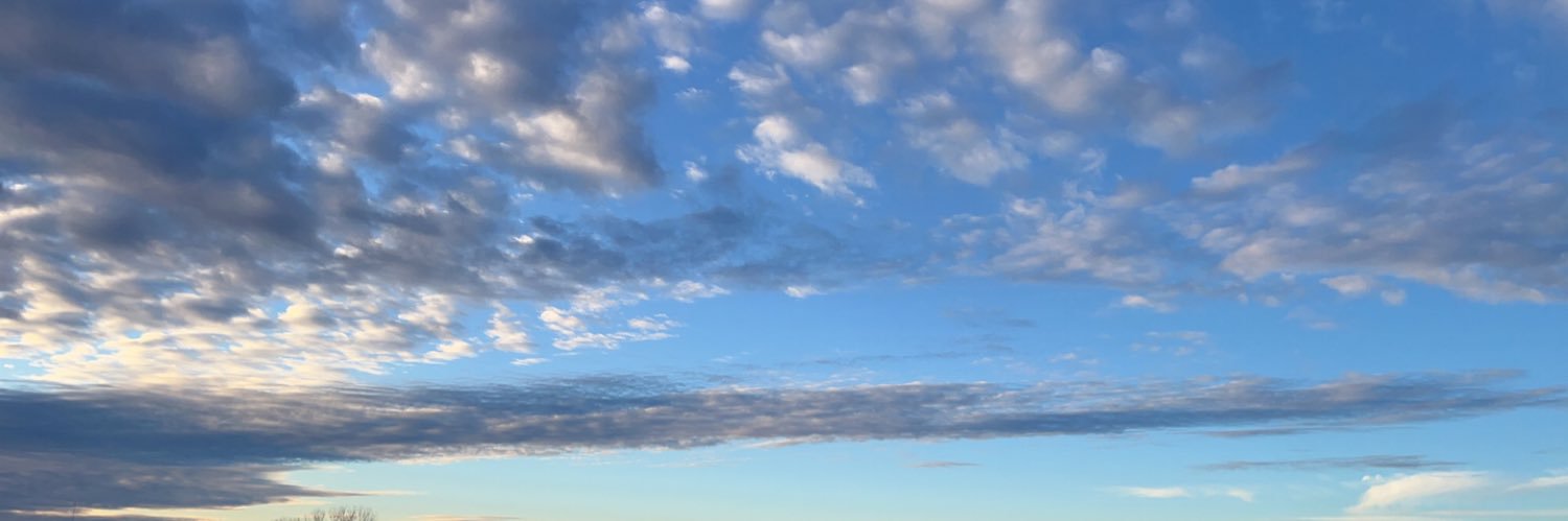 Gentry Shepherd banner