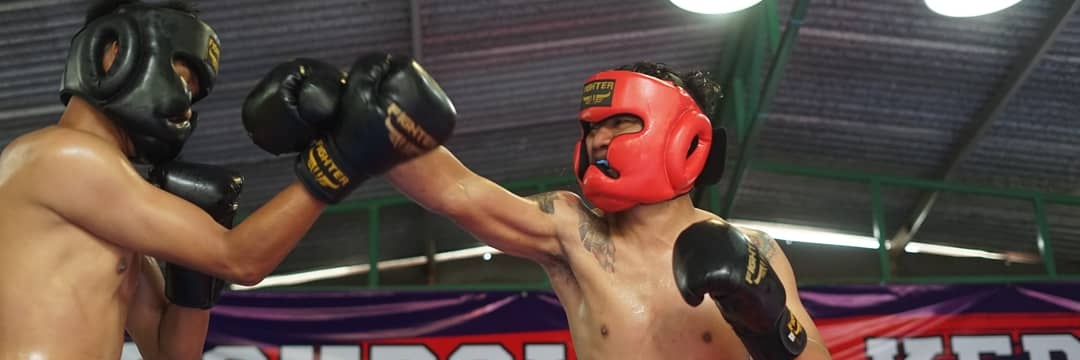 TRUST NO ONE! banner