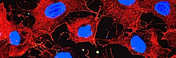 juliobioq Profile Banner