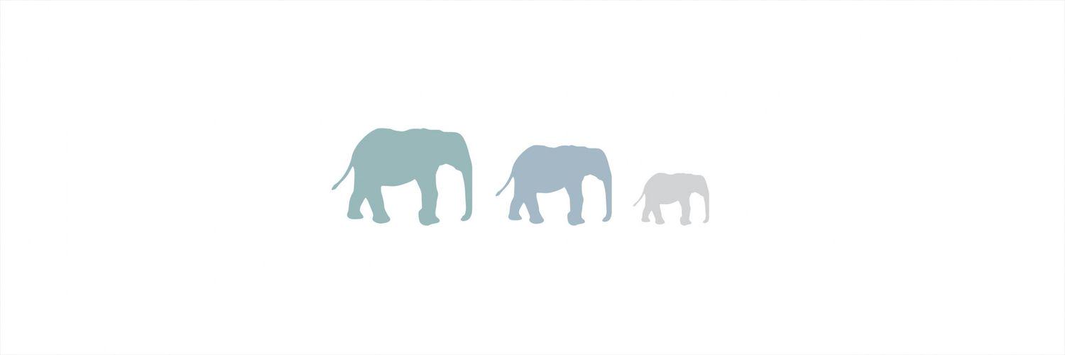 amirariff_'s profile banner image