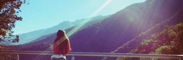 Ederisesv's profile banner image