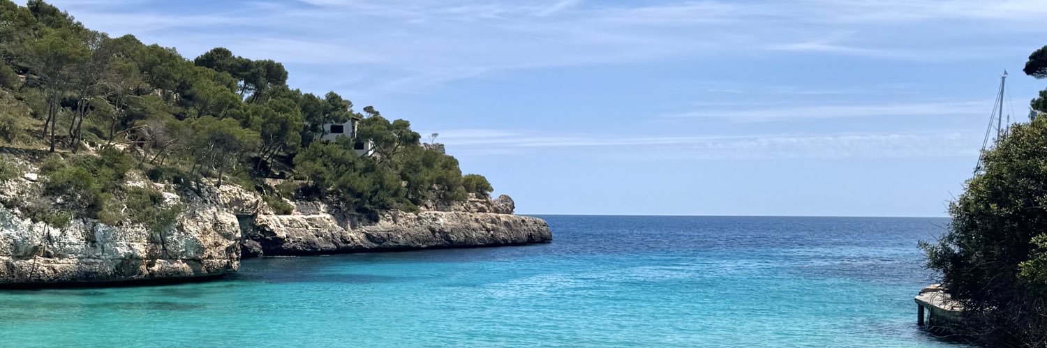 aleemaneiro_'s profile banner image