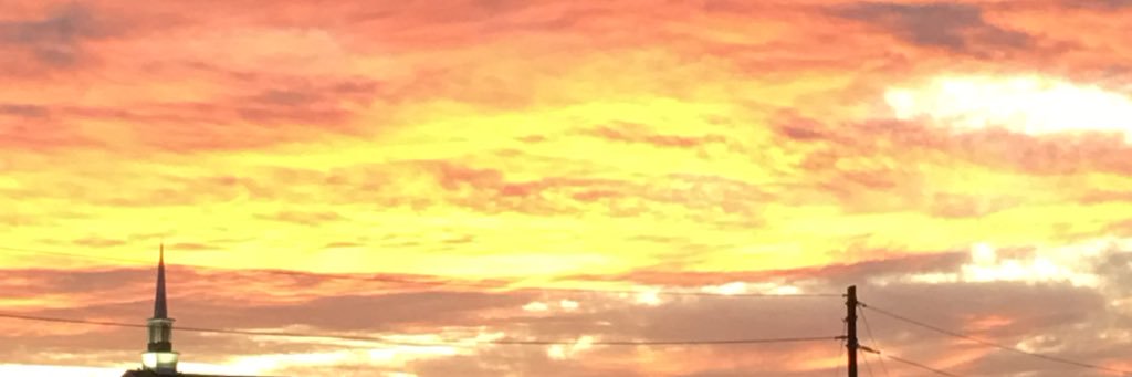 Justin Philpott banner