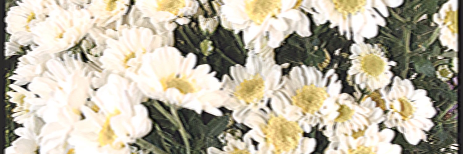 adachipriv's profile banner image