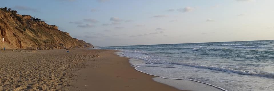 Matt Adler מטע אדלר banner