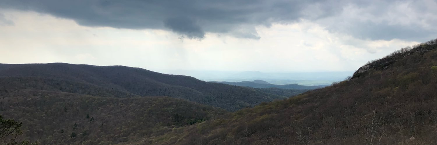 Willmore2499's profile banner image