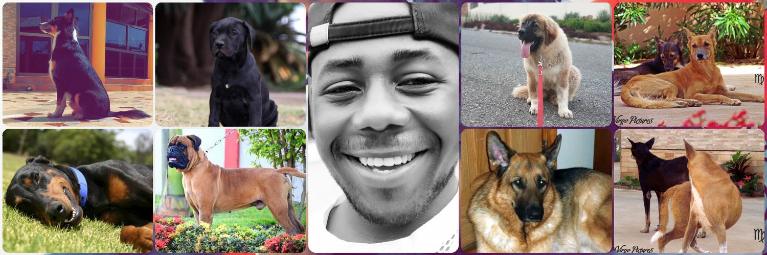 Prince Delson (AlphaCortx) banner