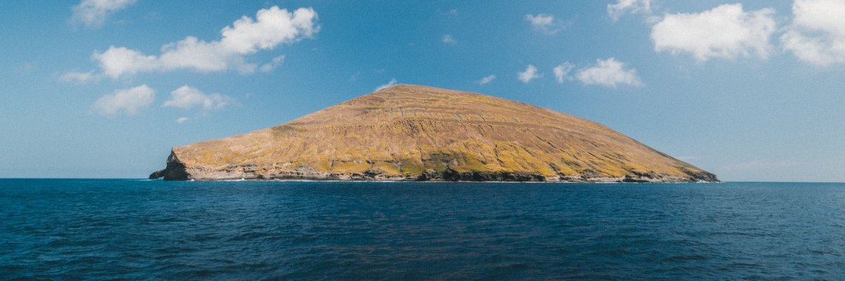 natrocino's profile banner image