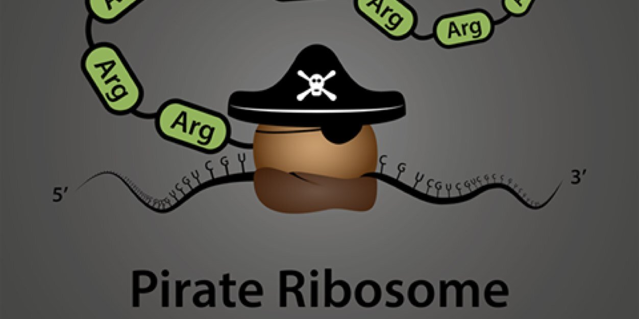 BoomItIsScience's profile banner image